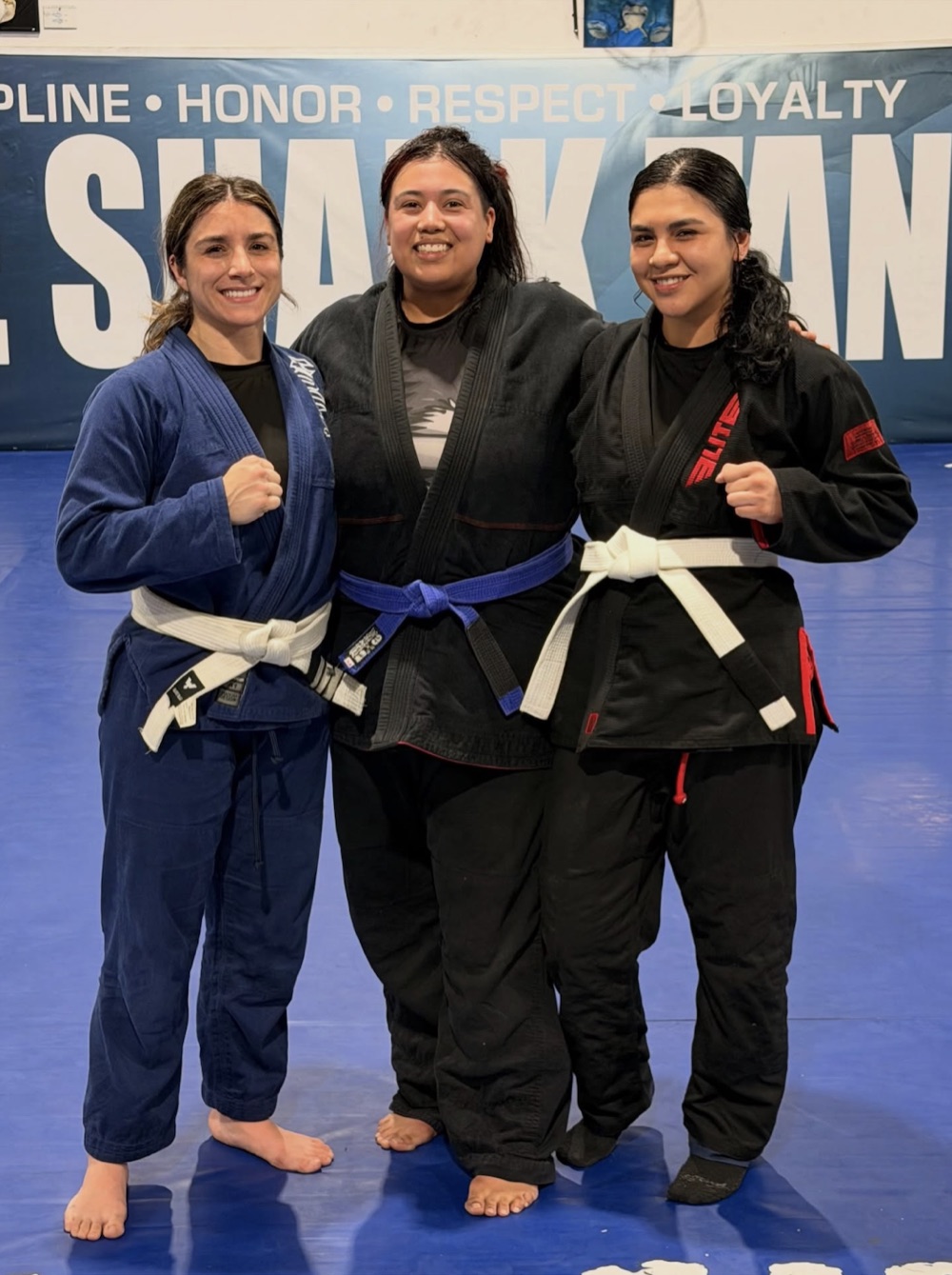 Women training Brazilian Jiu-Jitsu together